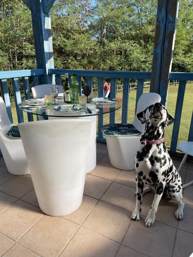 アルジャンタ*A Setting Between Dordogne And Swimming Pool*アパートメント エクステリア 写真